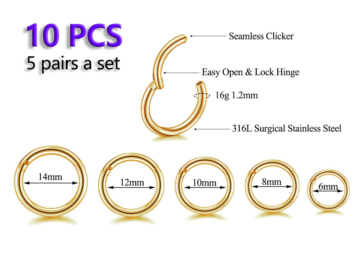 16G Surgical Steel Hinged Clicker Segment Nose Rings Hoop Helix Cartilage Daith Tragus Sleeper Earrings Body Piercing for women (16G - Gold - (6mm-14mm) - 10Pcs)