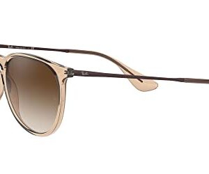 Ray-Ban RB4171 Erika Round Sunglasses, Transparent Light Brown/Brown Gradient Dark Brown, 54 mm