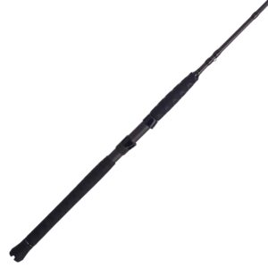 PENN Fishing Battalion II Inshore Casting Fishing Rod, Black/Gold, 7' - Heavy - 1pc (BATINII1530C70)