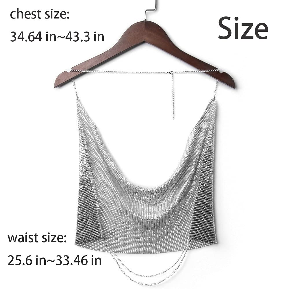 Fairyu Boho Sequins Body Chain Bra Bikini Shimmer Backless Halter Crop Top Beach Body Jewelry Accessory for Women (Silver)