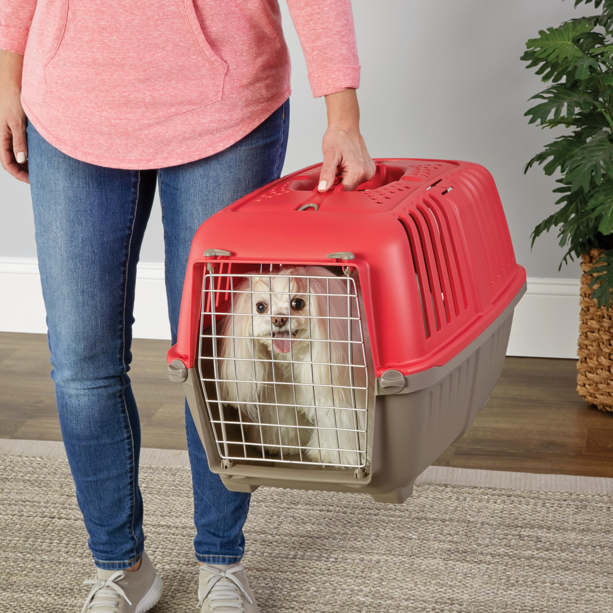 MidWest Homes for Pets Spree Travel Pet Carrier, Dog Carrier Features Easy Assembly and Not The Tedious Nut & Bolt Assembly of Competitors, Red, 24-Inch Small Dog Breeds (1424SPR)