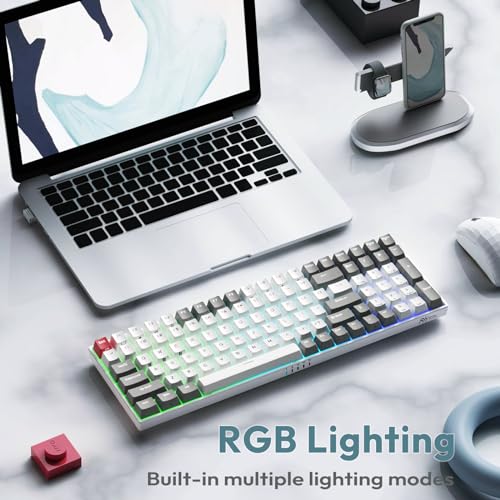 RK ROYAL KLUDGE RK100 Wireless Mechanical Keyboard RGB Backlit Bluetooth5.1/2.4G/Wired 96% Full Size 100-Key Hot-swap Gaming Keyboard with 3 USB Ports Brown Switch for Mac Windows Classic