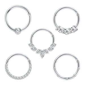 Drperfect Daith Earrings 16G Stainless Steel Cartilage Helix Tragus Nose Hoop Piercing Jewelry 8MM Silver CZ Hinged Septum Clicker Rings