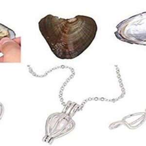 7-8mm Pearl Oyster Cultured Love Wish Round Pearls Oysters with Pearls Inside Mixed Color 5Oyster/lot +1 Necklace(Box Package)