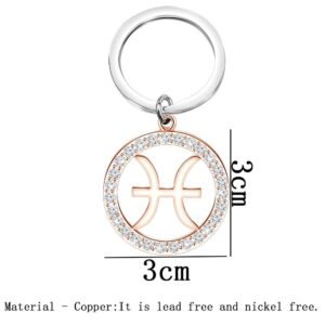 TGBJE Zodiac constellation Keychain Zodiac Sign Gift Zodiac Outline Gift Horoscope Constellation Celestial Zodiac Keychain (RG Pisces)