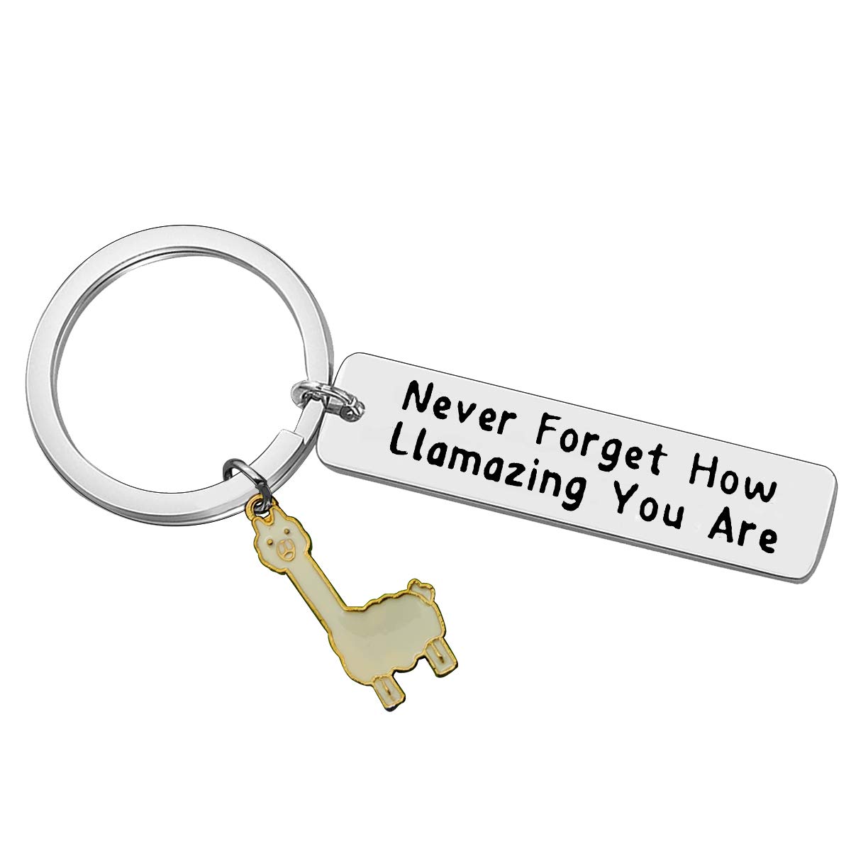 Baipilu Llama Keychain Llama Gift Never Forget How Llamazing You are Keychain for Women Alpaca Gifts Animal Lover Gift Inspiring Inspired Motivational Keychains for Women,birthday gift for friends