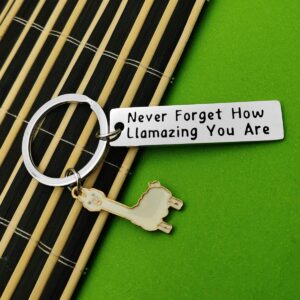 Baipilu Llama Keychain Llama Gift Never Forget How Llamazing You are Keychain for Women Alpaca Gifts Animal Lover Gift Inspiring Inspired Motivational Keychains for Women,birthday gift for friends