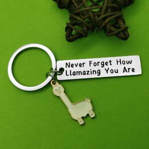 Baipilu Llama Keychain Llama Gift Never Forget How Llamazing You are Keychain for Women Alpaca Gifts Animal Lover Gift Inspiring Inspired Motivational Keychains for Women,birthday gift for friends