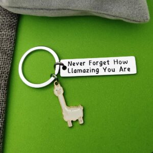 Baipilu Llama Keychain Llama Gift Never Forget How Llamazing You are Keychain for Women Alpaca Gifts Animal Lover Gift Inspiring Inspired Motivational Keychains for Women,birthday gift for friends