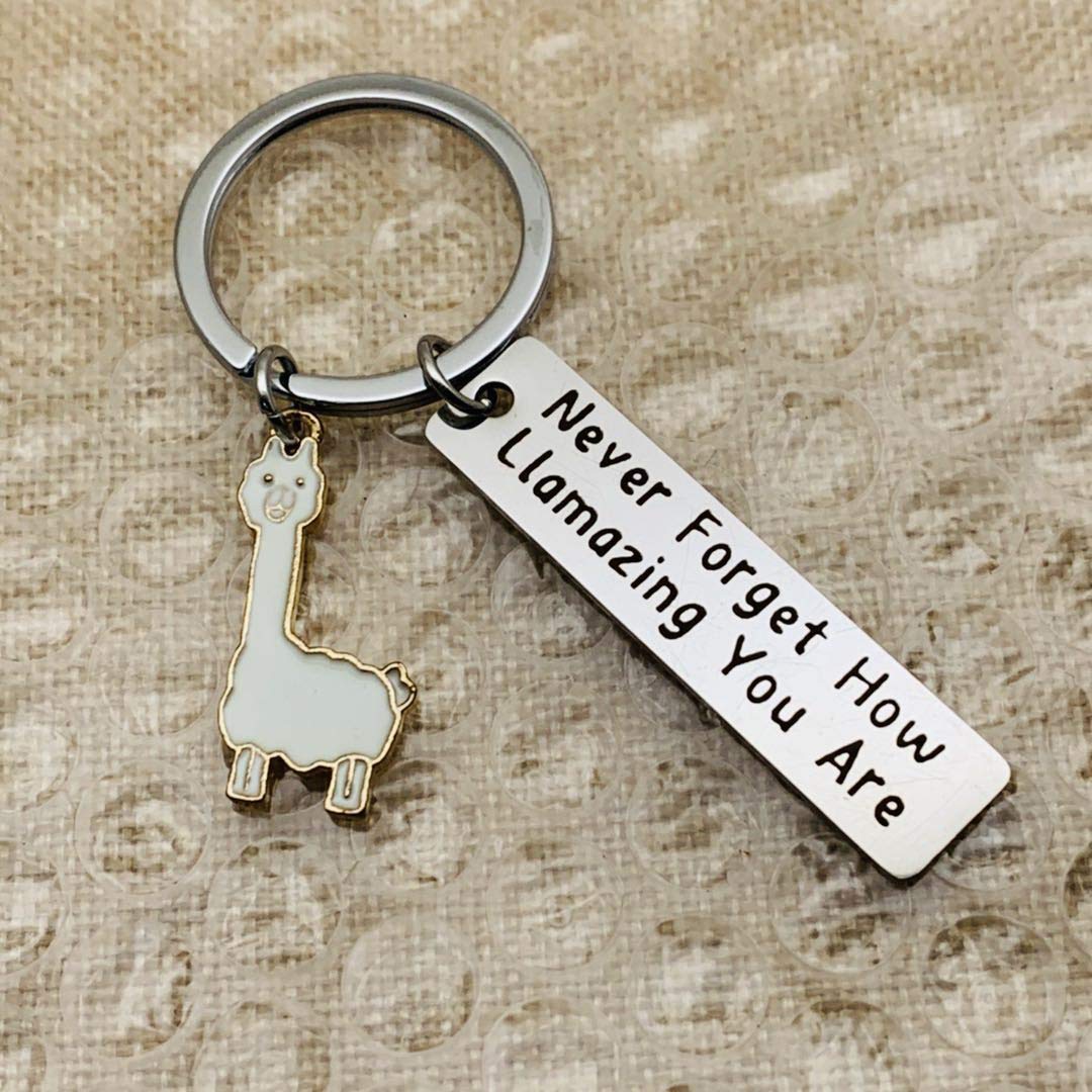 Baipilu Llama Keychain Llama Gift Never Forget How Llamazing You are Keychain for Women Alpaca Gifts Animal Lover Gift Inspiring Inspired Motivational Keychains for Women,birthday gift for friends