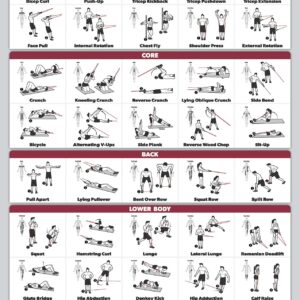 16 Pack - Exercise Workout Poster Set: Dumbbell, Suspension, Kettlebell, Bands, Medicine Ball, Battle Rope, Stretching, Bodyweight, Barbell, Yoga, Exercise Ball (PAPER - NOT LAMINATED, 18" x 24")