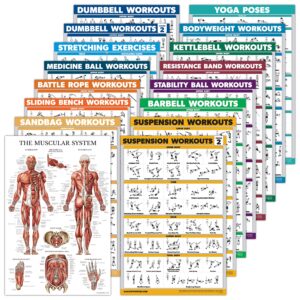 16 pack - exercise workout poster set: dumbbell, suspension, kettlebell, bands, medicine ball, battle rope, stretching, bodyweight, barbell, yoga, exercise ball (paper - not laminated, 18" x 24")