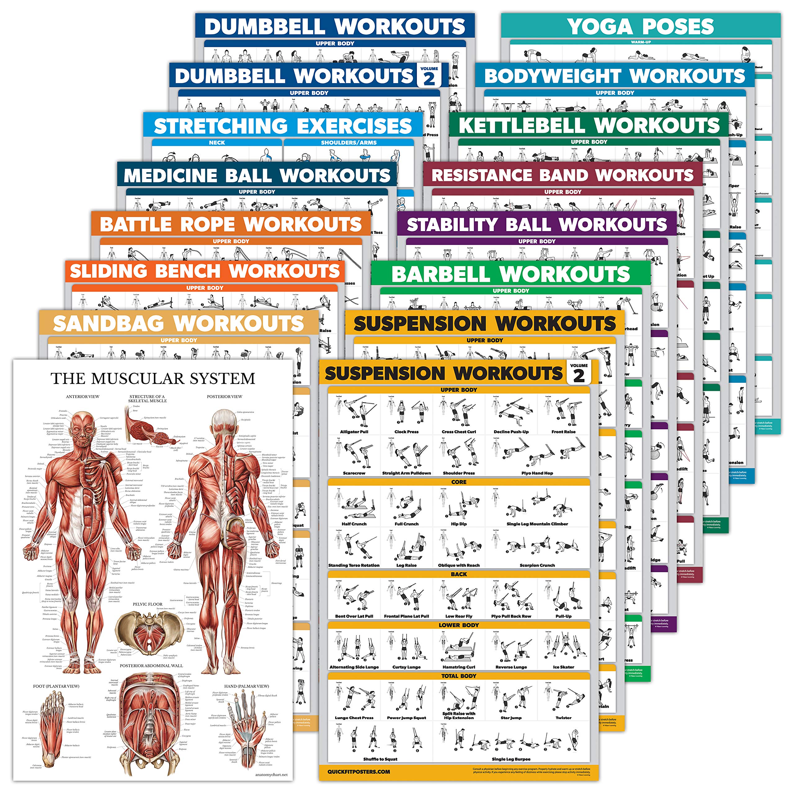 16 Pack - Exercise Workout Poster Set: Dumbbell, Suspension, Kettlebell, Bands, Medicine Ball, Battle Rope, Stretching, Bodyweight, Barbell, Yoga, Exercise Ball (PAPER - NOT LAMINATED, 18" x 24")