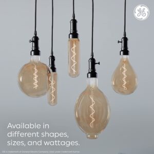 GE Vintage Style LED Light Bulb, 40 Watt, Clear Finish, Warm Candle Light, T20 Tube Light