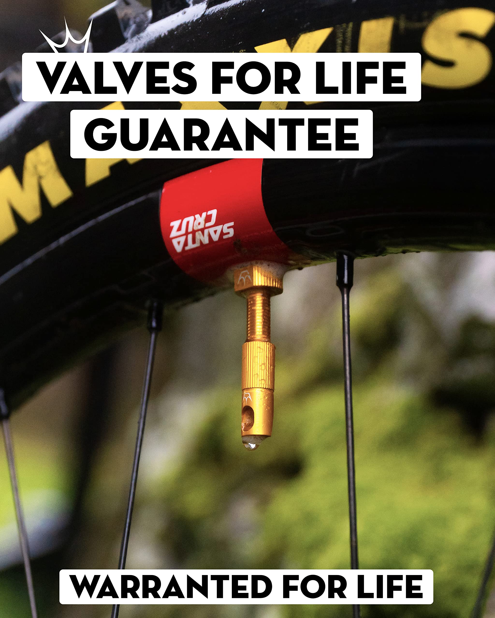 Peaty's x Chris King (MK2) Tubeless Valves, 42mm, Navy