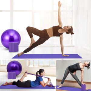 Yoga Beginners Kit Yoga Blocks 2 Pack Yoga Strap Yoga Ball Yoga Mat with Carrying Strap Net Bag Sports Cooling Towel,Yoga Mat Kits and Sets for Beginners 11-Piece Yoga Starter Kit for Women (Purple)