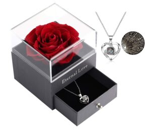 ocosy mothers day flower gifts for her, preserved real flower rose with silver-tone heart necklace i love you in 100 languages gift set, enchanted flower rose gifts, red