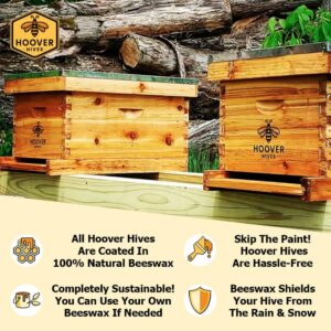 Hoover Hives Fully Assembled Original Bees Wax Coated 10 Frame Langstroth Beehive (2 Deep Boxes, 1 Medium Box)