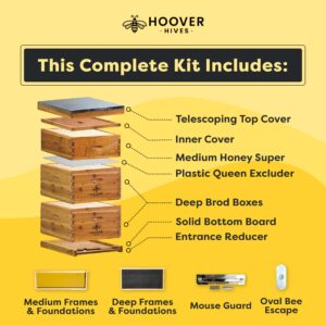 Hoover Hives Fully Assembled Original Bees Wax Coated 10 Frame Langstroth Beehive (2 Deep Boxes, 1 Medium Box)