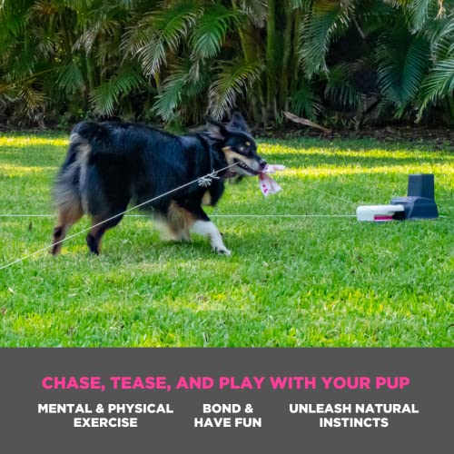 SwiftPaws - Home Original - Remote-Control Chase Toy - for Dogs - Flag Lure Course - Interactive Dog Enrichment Toy - Includes Main Unit, 3 Pulleys, Battery, Charger, Flags, Line, Stakes, Tethers