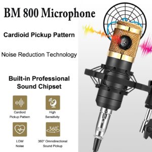 ALPOWL Podcast Equipment Bundle, Audio Interface with All in One Live Sound Card and BM-800 Condenser Microphone, Perfect for Recording, Broadcasting, Live Streaming, YouTube, TikTok (BM800-V8G)