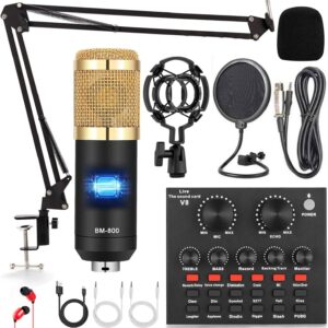 ALPOWL Podcast Equipment Bundle, Audio Interface with All in One Live Sound Card and BM-800 Condenser Microphone, Perfect for Recording, Broadcasting, Live Streaming, YouTube, TikTok (BM800-V8G)