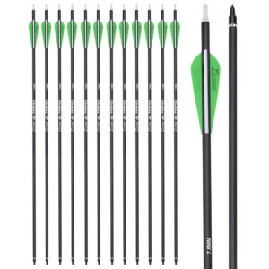 archery 26inch carbon arrow practice hunting arrows with100 grain removable tips for compound & recurve bow(pack of 12)