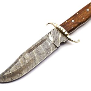 Skokie Knives Custom Hand Made Damascus Steel Hunting Bowie Knife Handle Walnut Wood With Mosic Pins And Brass Guard