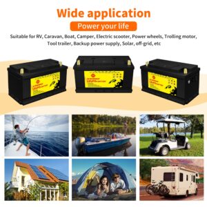 LiFePO4 Battery 100Ah 12V 1280Wh Deep Cycle Lithium Iron Phosphate Battery Built-in BMS Protect Charging and Discharging High Performance for Golf Cart EV RV Solar Energy Storage Battery…