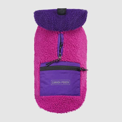 Canada Pooch Cool Factor Hoodie Size 12 Pink/Purple Teddy-Bear Fleece Dog Hoodie (Pink/Purple, X-Small)