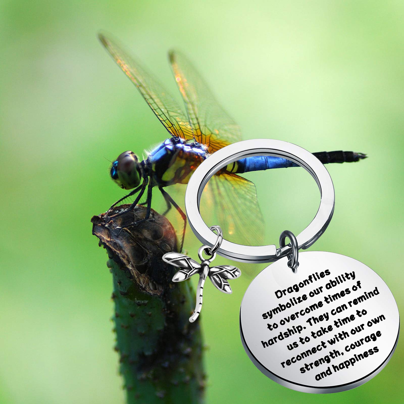 ENSIANTH Dragonfly Keychain Dragonfly Lover Gift Inspiration Gift for Friend Encouragement Gift (Dragonflies Symbolize)