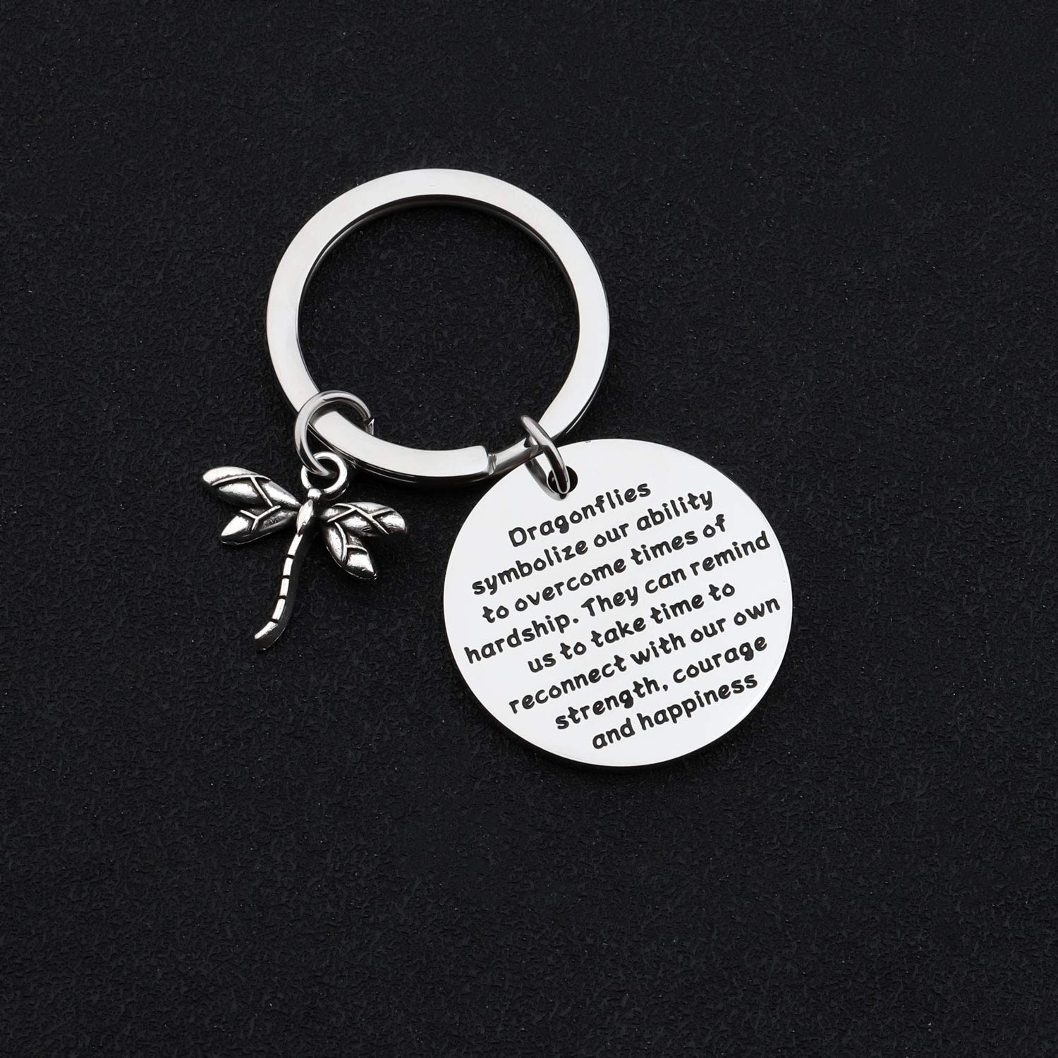 ENSIANTH Dragonfly Keychain Dragonfly Lover Gift Inspiration Gift for Friend Encouragement Gift (Dragonflies Symbolize)