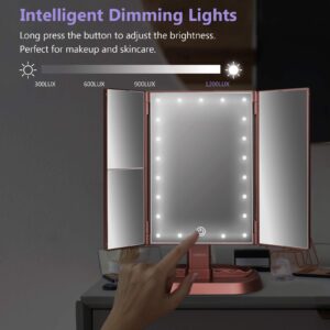 deweisn Trifold Lighted Vanity Makeup Mirror with 21 LEDs Lights,1x/2x/3x Magnification and Touch Screen Dimming,Two Power Supplies Makeup Mirror, Gift for Women