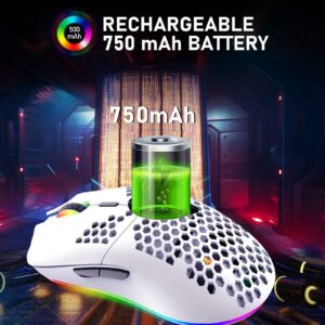 LexonElec Wireless Gaming Mouse,Ultra-Lightweight Honeycomb Shell Mice with 2.4G Wireless Rechargeable,Multi RGB Backlit,7 Buttons,3200DPI,Ergonomic Optical Sensor for PC,Xbox,PS4 Gamers(White)