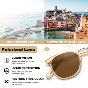 CARFIA Small Polarized Sunglasses for Women Hand-crafted Acetate Frame Fashion Retro Sun Glasses CA5015 Clear Tea