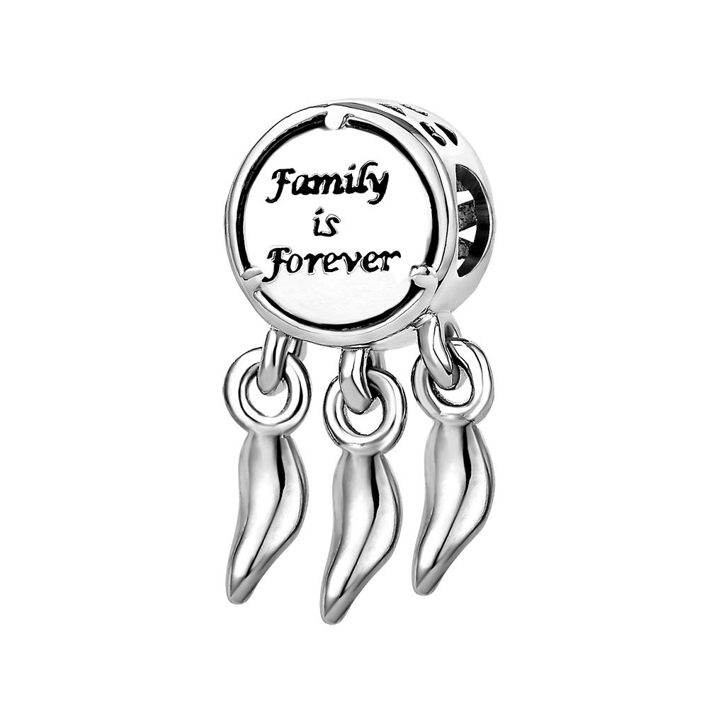 TGLS Family Tree of Life Dream Catcher Charms With Leaf Tassel Family is Forever Beads Compatible with Pandora Charms Bracelets