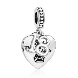 tgls happy birthday charm 18th time to adult coming-of-age ceremony gift bead compatible with pandora charms bracelets