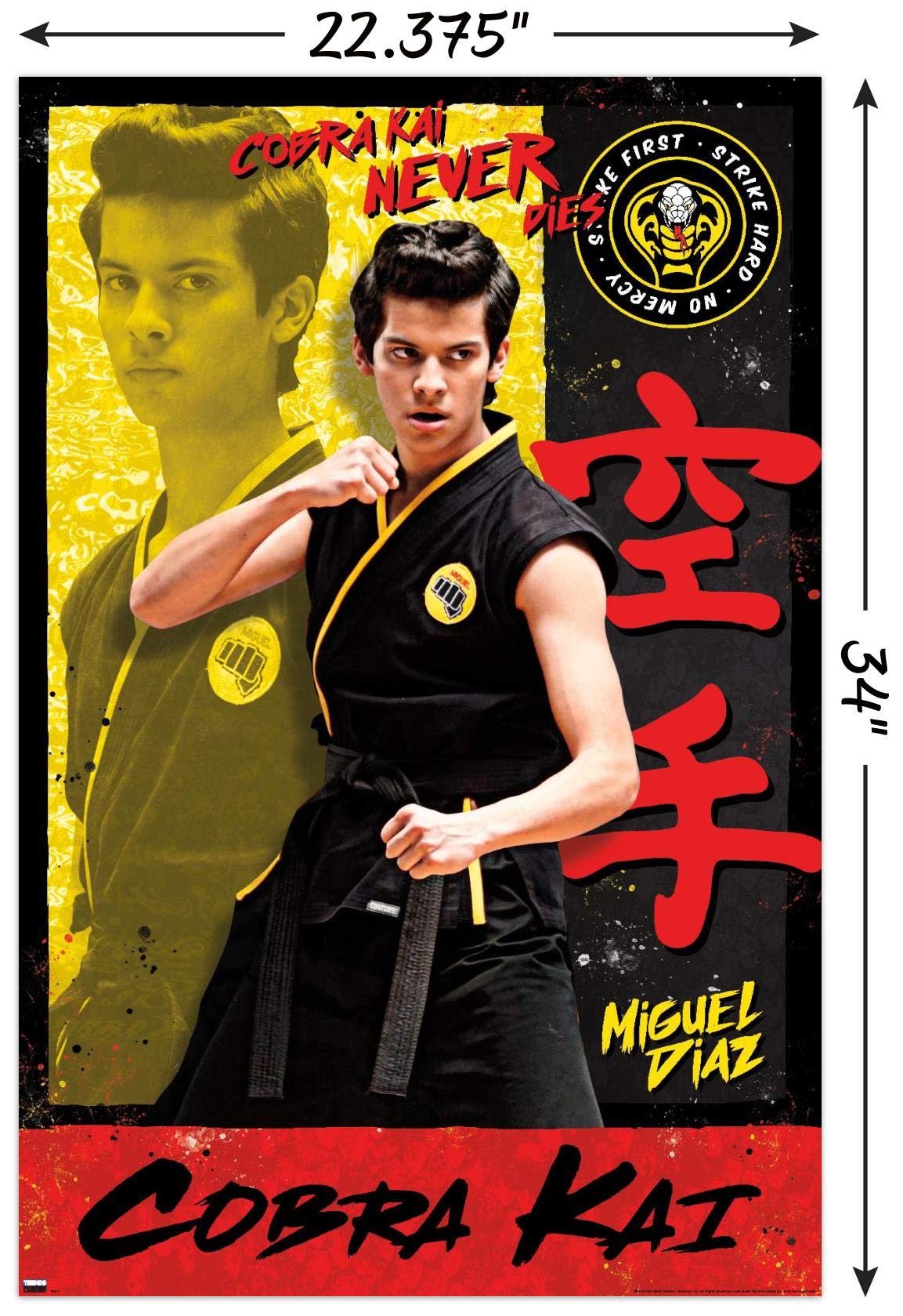 Trends International Cobra Kai - Miguel Wall Poster, 22.37" x 34.00", Unframed Version