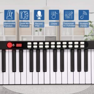 GLARRY 88 Key Digital Piano Portable Touch Sensitive Electronic Keyboard w/Lighted Keys, MIDI Keyboard, Built-in Speakers, Power Supply, Power Supply, Portable Bag (Black)