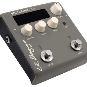 L.R. Baggs Voiceprint DI Acoustic Guitar Impulse Response Effects Pedal