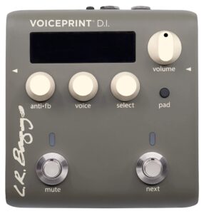 l.r. baggs voiceprint di acoustic guitar impulse response effects pedal