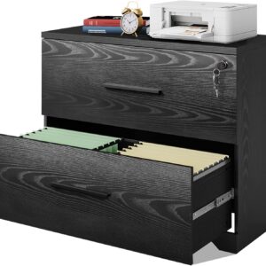 DEVAISE 2-Drawer Wood Lateral File Cabinet with Lock for Home Office, Black