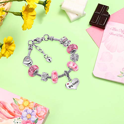 Hicarer Big Sis Gift Shiny Bracelet Crystal Charm Bangle Jewelry Wristband with Gift Box Set for Hers Lady(Pink Butterfly)