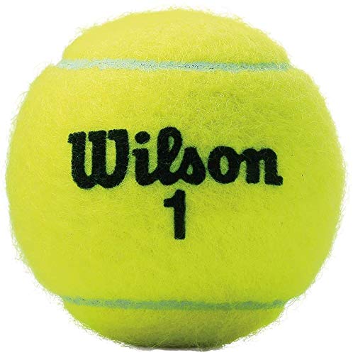 WILSON Championship Extra Duty Tennis Balls, 2 Cases