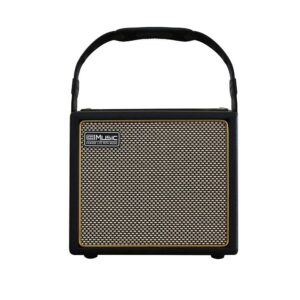 Acoustic Guitar Amplifier, 30 Watt Bluetooth Speaker Rechargeable Portable Acoustic Guitar Amp with Reverb Chorus Effect,3 Inputs, Black