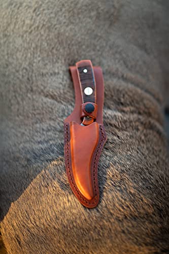 Old Timer Generational USA Series 152OTG Sharpfinger Fixed Blade Knife with Stainless Steel Clip Point Skinner Blade, Bone Handle, and Made in USA for Hunting, Skinning, Field Dressing and Outdoors