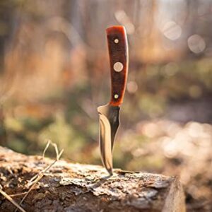 Old Timer Generational USA Series 152OTG Sharpfinger Fixed Blade Knife with Stainless Steel Clip Point Skinner Blade, Bone Handle, and Made in USA for Hunting, Skinning, Field Dressing and Outdoors