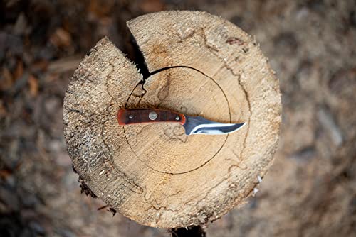 Old Timer Generational USA Series 152OTG Sharpfinger Fixed Blade Knife with Stainless Steel Clip Point Skinner Blade, Bone Handle, and Made in USA for Hunting, Skinning, Field Dressing and Outdoors