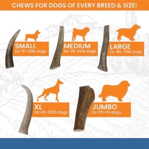 K9warehouse Split Antler for Dogs - Natural Dog Antlers for Aggressive Chewers - USA Sourced Elk Antlers for Dogs Small, Medium, Large - Healthy Elk Antlers for Teeth Cleaning & Chewing Pleasure