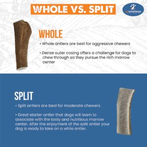 K9warehouse Split Antler for Dogs - Natural Dog Antlers for Aggressive Chewers - USA Sourced Elk Antlers for Dogs Small, Medium, Large - Healthy Elk Antlers for Teeth Cleaning & Chewing Pleasure